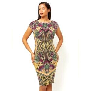 ICE Dress Womens Small Ethnic Floral Animal Print Bodycon Cottage Stretch Scuba